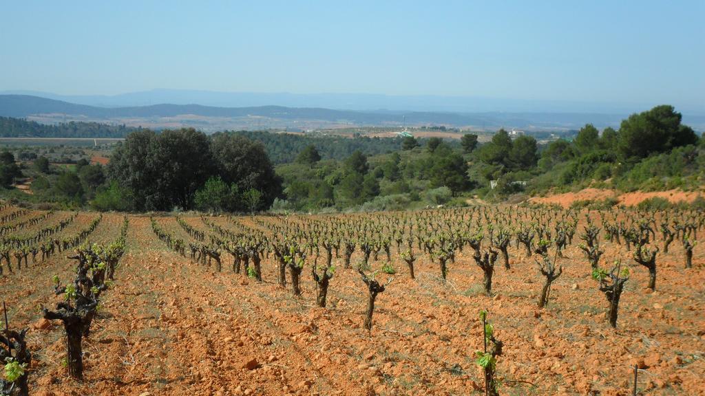ريكينا Finca Casa Nueva المظهر الخارجي الصورة