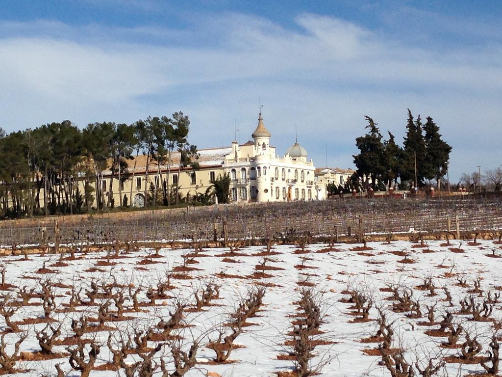ريكينا Finca Casa Nueva المظهر الخارجي الصورة